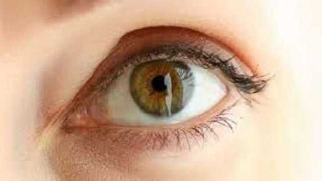 7 فيتامينات يحتاجها الجسم لصحة العين.. إليك مصادر الحصول عليها
