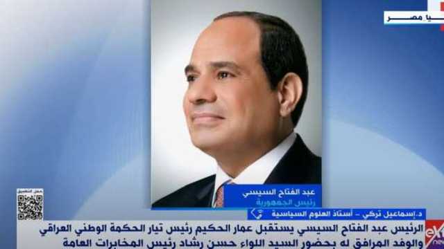 أستاذ علوم سياسية: مصر لا تتدخر جهدا في نقل خبراتها للدول العربية  