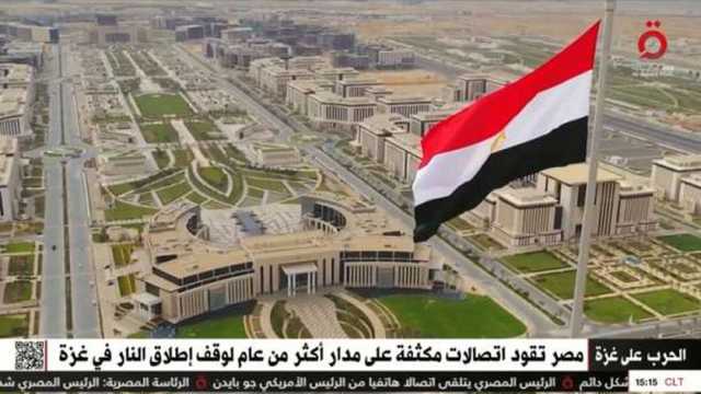 تقرير: القضية الفلسطينية على رأس أولويات اهتمام القيادة المصرية.. فيديو