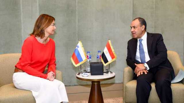 وزير الخارجية يشيد بتطور العلاقات مع سلوفينيا.. ويستعرض جهود مصر لوقف إطلاق النار بغزة