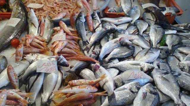 أسعار السمك اليوم السبت 22-2-2025 للمستهلك في الأسواق والمحال