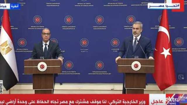 وزير الخارجية: تطورات الأوضاع في غزة والضفة على رأس المباحثات مع تركيا