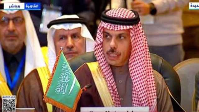 وزير الخارجية السعودي: نقدر جهود مصر لتعزيز الأمن الإقليمي