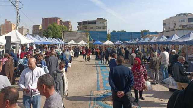 افتتاح سوق اليوم الواحد في محافظة قنا.. لحوم ودواجن بتخفيضات 30%