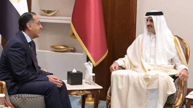 أمير قطر يستقبل رئيس الوزراء ويؤكد أهمية تعاون البلدين لمواجهة التطورات الإقليمية