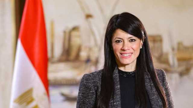 «المشاط»: تطوير العنصر البشري وتنمية المهارات ضرورة لمواكبة المتغيرات