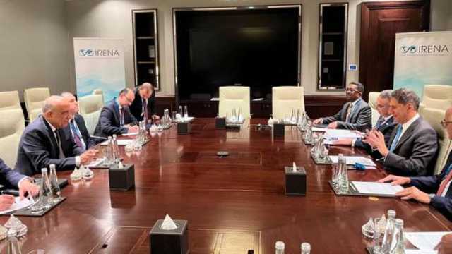 وزير الكهرباء يبحث مع مدير الوكالة الدولية للطاقة المتجددة تعزيز التعاون الثنائي