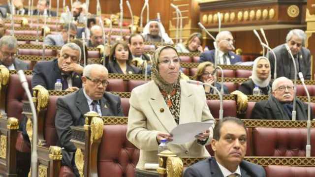 عضو بـ«الشيوخ»: مخططات جماعات الإخوان لن تنال من عزيمة المصريين