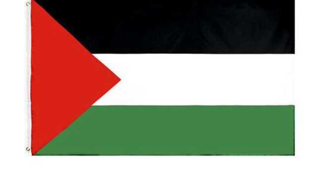 رسائل امتنان.. فلسطينيون إلى أشقائهم المصريين: أنتم الأهل والسند والداعم لنا