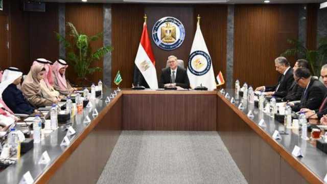مصر والسعودية تتفقان على سرعة بدء مبادرة تحسين كفاءة استهلاك الطاقة