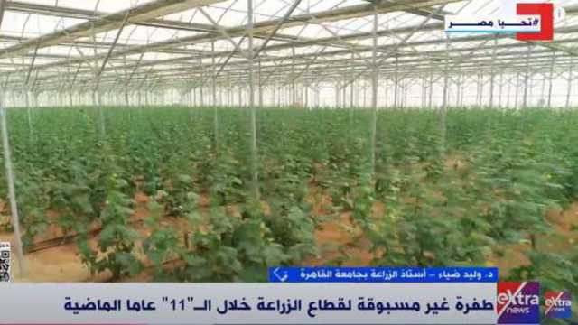 أستاذ زراعة: الدولة أدخلت التكنولوجيا الحديثة لتحسين جودة المحاصيل