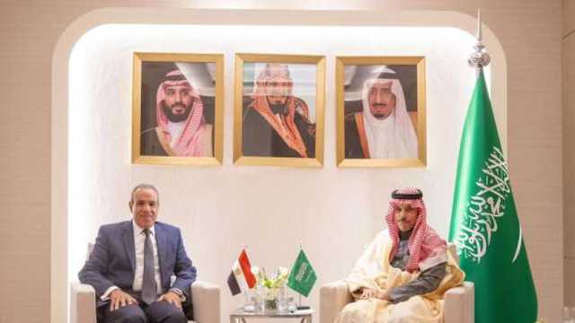 وزير الخارجية يبحث مع نظيره السعودي مستجدات الأوضاع في سوريا