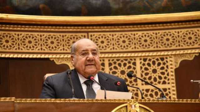 رئيس مجلس الشيوخ يترأس وفد برلماني إلى الإمارات