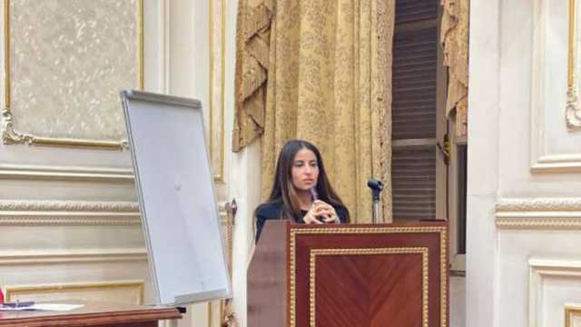 عضو بـ«خارجية النواب»: مصر تأخذ خطوات جدية لوقف معاناة الشعب الفلسطيني
