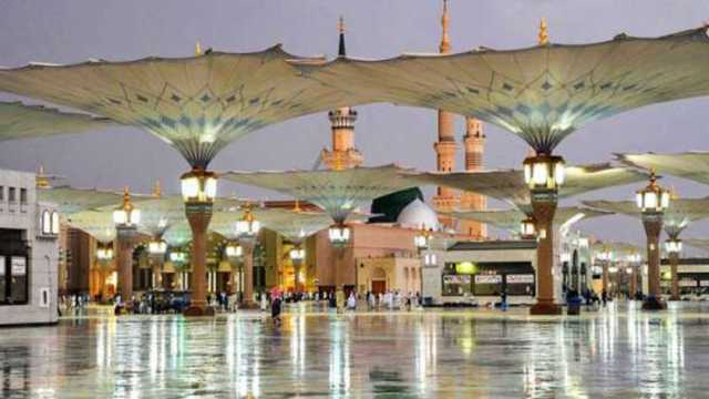 أحفاد الرسول الثمانية.. تعرف على جانب من مواقف النبي معهم