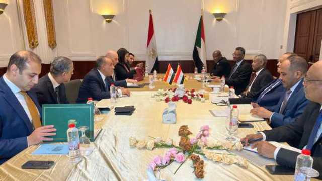 وزير الخارجية يؤكد لنظيره السوداني دعم مصر للمؤسسات الوطنية