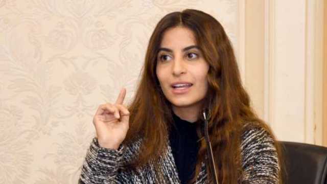 عضو بـ«خارجية النواب» تطالب باجتماع طارئ لجامعة الدول العربية لمواجهة تهجير الفلسطينيين