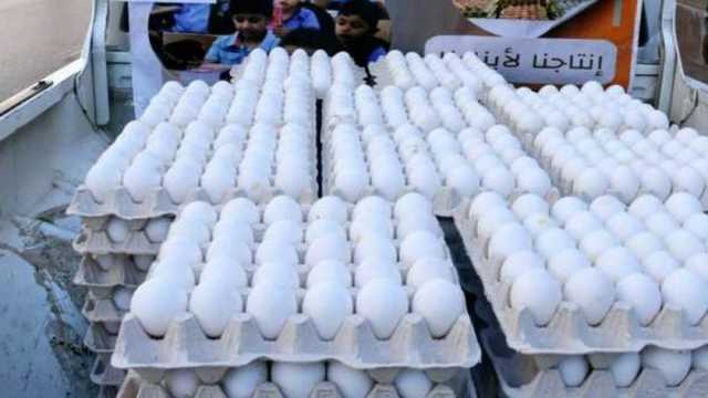 سعر كرتونة البيض اليوم السبت 30-11-2024 في الأسواق