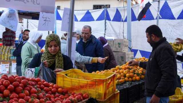 إقامة سوق اليوم الواحد في العجمي بالإسكندرية لأول مرة غدا