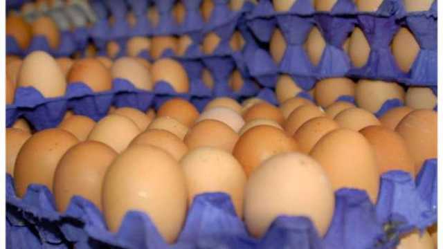 سعر كرتونة البيض اليوم السبت 22-2-2025 في الأسواق.. اعرف آخر تحديث