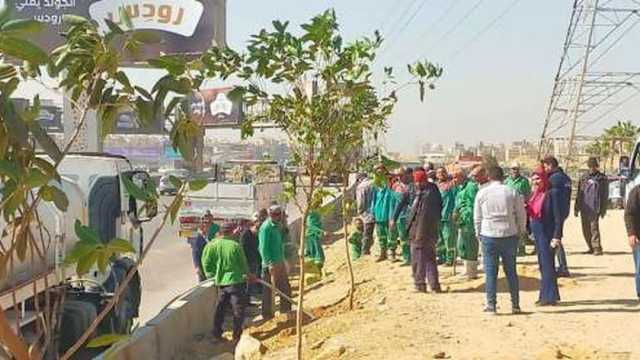 التنمية المحلية تكشف خطة زراعة 100 مليون شجرة لتحسين البيئة