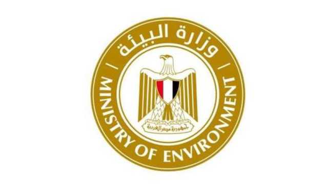 «البيئة» تنقذ سلحفاة بحرية كبيرة حية بشاطئ النخيل في الإسكندرية