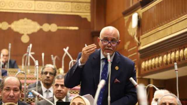 عضو بـ«الشيوخ»: مصر تسعى لإنهاء الصراعات الإقليمية وحماية الأمن العربي
