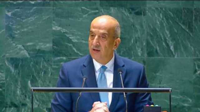 «الخارجية»: مصر تتحرك في الأمم المتحدة لإلزام إسرائيل بإدخال المساعدات إلى غزة