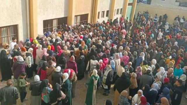 قرارات مهمة من «تعليم القليوبية» للقضاء على زحام تظلمات الشهادة الإعدادية