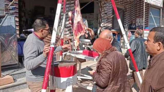 محافظ المنيا: ضبط 166 مخالفة خلال حملات تموينية على المخابز والأسواق