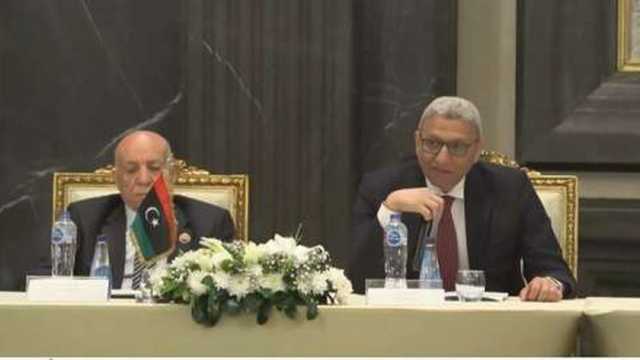 وكيل «النواب»: مصر تدعم استقرار ليبيا وحلولها الوطنية