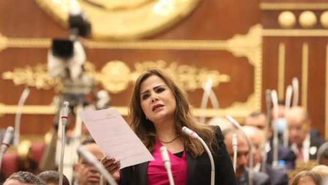 نائبة بـ«الشيوخ»: خطة إعمار غزة خطوة تاريخية.. ومصر شريك فاعل في دعم القضية