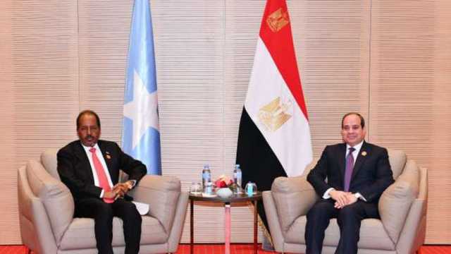 أستاذ دراسات إفريقية: تطور في العلاقات الاستراتيجية بين مصر والصومال