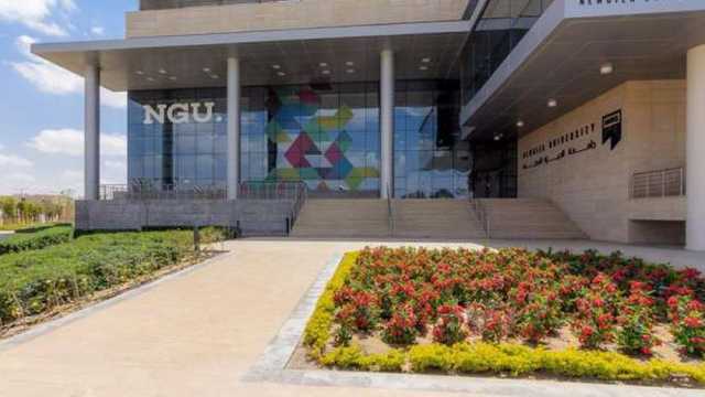 مجلس الوزراء يوافق على تعديل مسمى كلية الفنون في جامعة الجيزة الجديدة