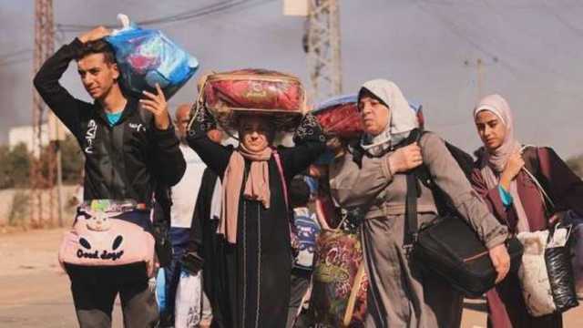 أعضاء هيئة تدريس الجامعات يرفضون مخطط تهجير الفلسطينيين.. ويدعمون القيادة السياسية