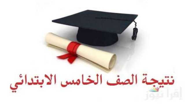 نتيجة الصف الخامس الابتدائي برقم الجلوس في القاهرة والجيزة.. جار تجهيزها