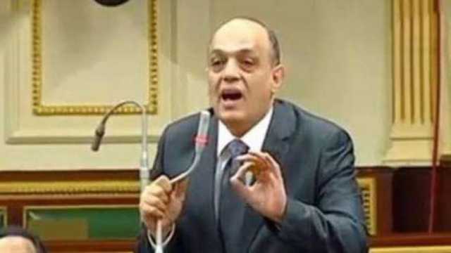 رئيس «مشروعات النواب»: توطين الصناعة المحلية ضرورة لمواجهة الاستيراد