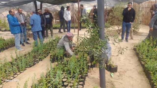 «الزراعة» تبدأ نشر زراعة شتلات اللوز بتوزيعها على المزارعين في سيناء