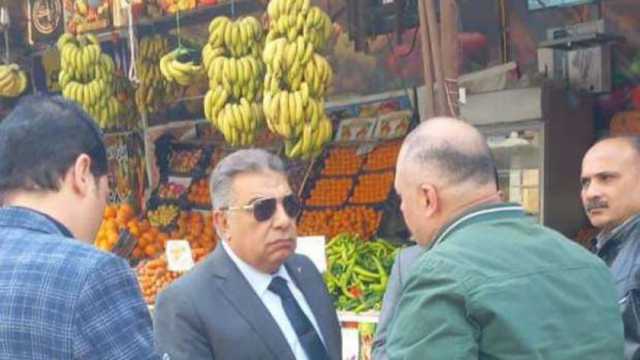 7 قرارات حاسمة من محافظ الدقهلية للنهوض بالنظافة.. غرامة فوري للمخالفين