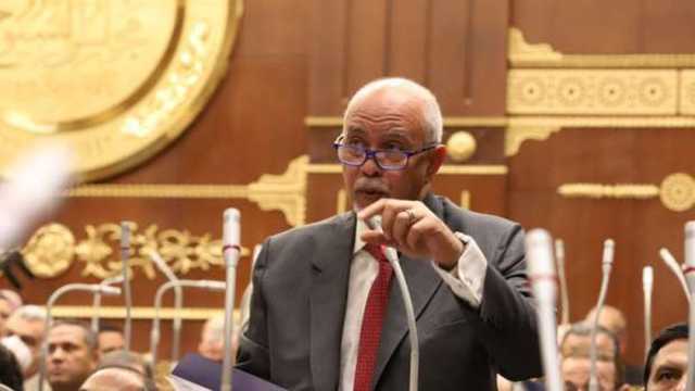 عضو بـ«الشيخ»: تماسك الجبهة الداخلية حائط صد لمواجهة محاولات تهديد الأمن القومي