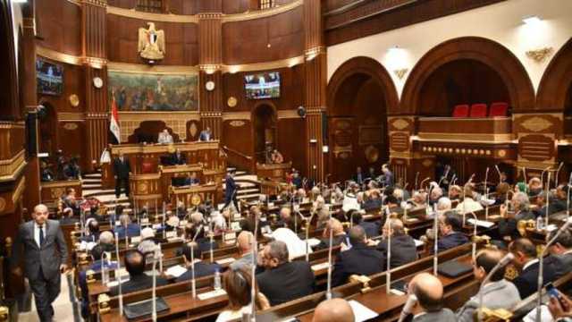 «زراعة الشيوخ» توصي بخطة استراتيجية لتوطين صناعة الأعلاف في مصر