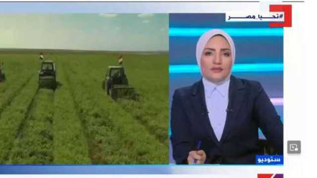 أستاذ زراعة: التوسع في استصلاح الأراضي يعظم الاستفادة من الموارد الطبيعية (فيديو)