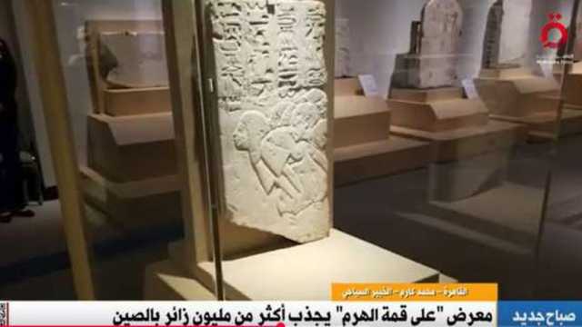 محمد كارم: المعارض الخارجية تسهم في تعزيز السياحة المصرية عالميا