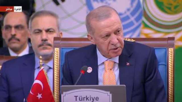 أردوغان يهنئ السيسي على رئاسة قمة منظمة الدول الثماني