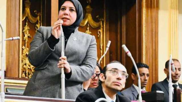 عضو بـ«النواب»: خط الروبيكي - العاشر من رمضان يسهل نقل البضائع ويقلل النفقات