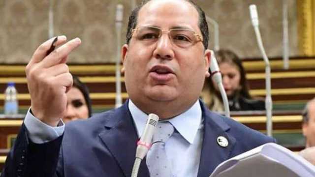 عضو بـ«النواب»: الدولة المصرية تبنت فلسفة متوازنة لمواجهة الشائعات