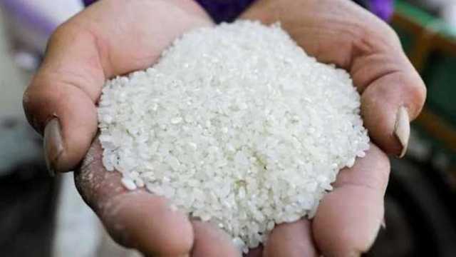 أسعار الأرز الشعير اليوم الأربعاء 26-2-2025 في مصر
