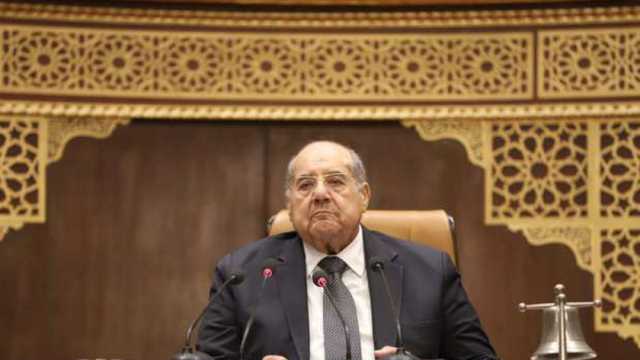 رئيس «الشيوخ» يشيد بأداء الوفد المصري بجنيف: نجح في عرض تطورات الملف الحقوقي