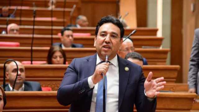 عضو بـ«النواب»: مشروع قانون العمل الجديد يقضي على ظاهرة «الاستقالة المسبقة»