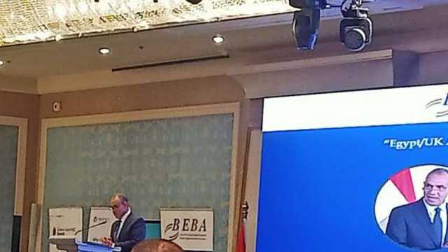 وزير الخارجية: مصر وبريطانيا يجمعهما تعاون مشترك في مجالات عدة